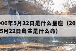 2006年5月22日是什么星座（2006年5月22日出生是什么命）