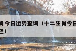 十二生肖今日运势查询（十二生肖今日运势查询神巴巴）