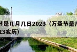 万圣节是几月几日2023（万圣节是几月几日2023农历）