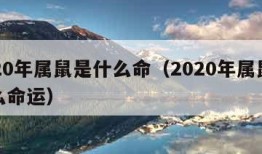 2020年属鼠是什么命（2020年属鼠是什么命运）