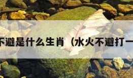 水火不避是什么生肖（水火不避打一数字）