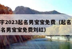 起名字2023起名男宝宝免费（起名字2023起名男宝宝免费刘红）