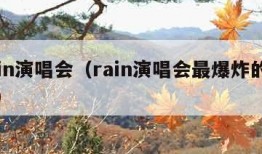 rain演唱会（rain演唱会最爆炸的视频）