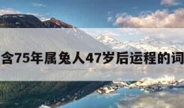 包含75年属兔人47岁后运程的词条