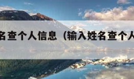 输入姓名查个人信息（输入姓名查个人信息公安网）