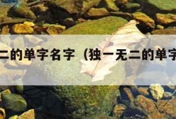 独一无二的单字名字（独一无二的单字名字男生）