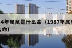 1984年属鼠是什么命（1987年属兔是什么命）