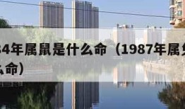 1984年属鼠是什么命（1987年属兔是什么命）