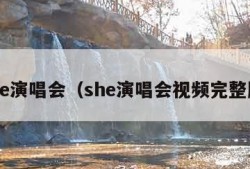 she演唱会（she演唱会视频完整版）