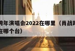 肖战跨年演唱会2022在哪里（肖战跨年演唱会在哪个台）