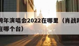 肖战跨年演唱会2022在哪里（肖战跨年演唱会在哪个台）