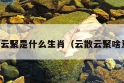 云散云聚是什么生肖（云散云聚啥意思）