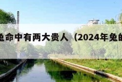 生肖兔命中有两大贵人（2024年兔的贵人是谁）