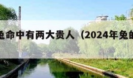 生肖兔命中有两大贵人（2024年兔的贵人是谁）