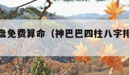 八字排盘免费算命（神巴巴四柱八字排盘免费算命）