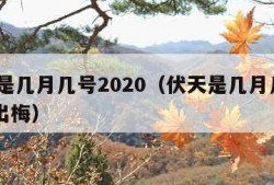 伏天是几月几号2020（伏天是几月几号2023出梅）