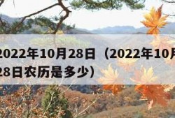 2022年10月28日（2022年10月28日农历是多少）