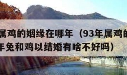 93年属鸡的姻缘在哪年（93年属鸡的姻缘在哪年兔和鸡以结婚有啥不好吗）