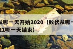 数伏从哪一天开始2020（数伏从哪一天开始2021哪一天结束）