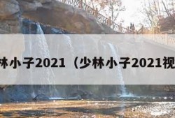 少林小子2021（少林小子2021视频）