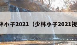 少林小子2021（少林小子2021视频）