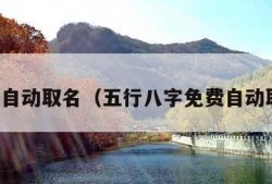 免费自动取名（五行八字免费自动取名）