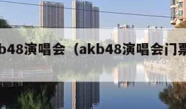 akb48演唱会（akb48演唱会门票价格）