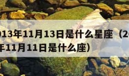 2013年11月13日是什么星座（2013年11月11日是什么座）