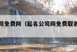 起名公司免费网（起名公司网免费取名打分测试）