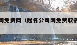 起名公司免费网（起名公司网免费取名打分测试）