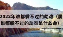 属虎2022年谁都躲不过的劫难（属虎2022年谁都躲不过的劫难是什么命）