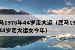 属马1978年44岁走大运（属马1978年44岁走大运女今年）