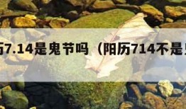 农历7.14是鬼节吗（阳历714不是鬼节吧）