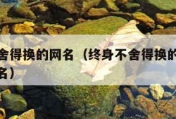 终身不舍得换的网名（终身不舍得换的网名三个字网名）