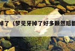 梦见牙掉了（梦见牙掉了好多颗然后都吐出来了）