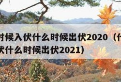 什么时候入伏什么时候出伏2020（什么时候入伏什么时候出伏2021）