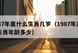 1987年属什么生肖几岁（1987年属什么生肖年龄多少）