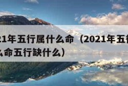 2021年五行属什么命（2021年五行属什么命五行缺什么）