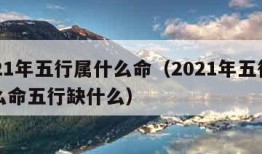 2021年五行属什么命（2021年五行属什么命五行缺什么）