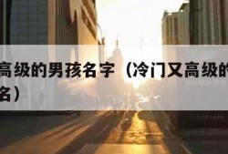 冷门又高级的男孩名字（冷门又高级的男孩名字英文名）