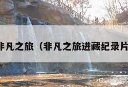 非凡之旅（非凡之旅进藏纪录片）