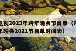 东方卫视2023年跨年晚会节目单（东方卫视跨年晚会2021节目单时间表）