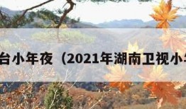 湖南台小年夜（2021年湖南卫视小年夜）