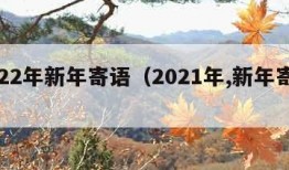 2022年新年寄语（2021年,新年寄语）