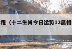 每日运程（十二生肖今日运势12属相每日运程）