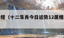 每日运程（十二生肖今日运势12属相每日运程）