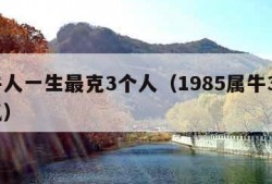 属牛人一生最克3个人（1985属牛39岁运气）