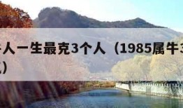 属牛人一生最克3个人（1985属牛39岁运气）