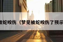 梦见被蛇咬伤（梦见被蛇咬伤了预示什么）