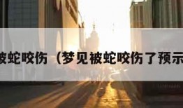 梦见被蛇咬伤（梦见被蛇咬伤了预示什么）